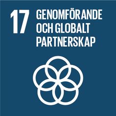 Genomförande och globalt partnerskap